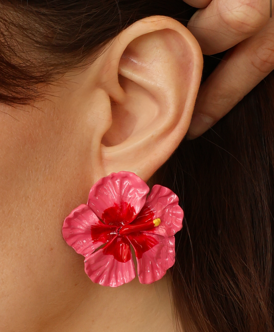 HIBISCUS
