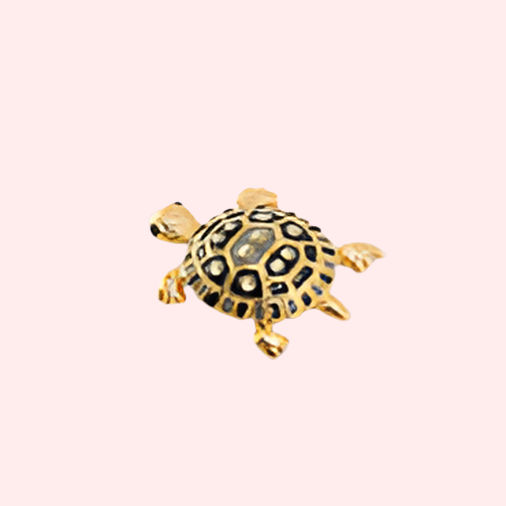 Schildpad broche
