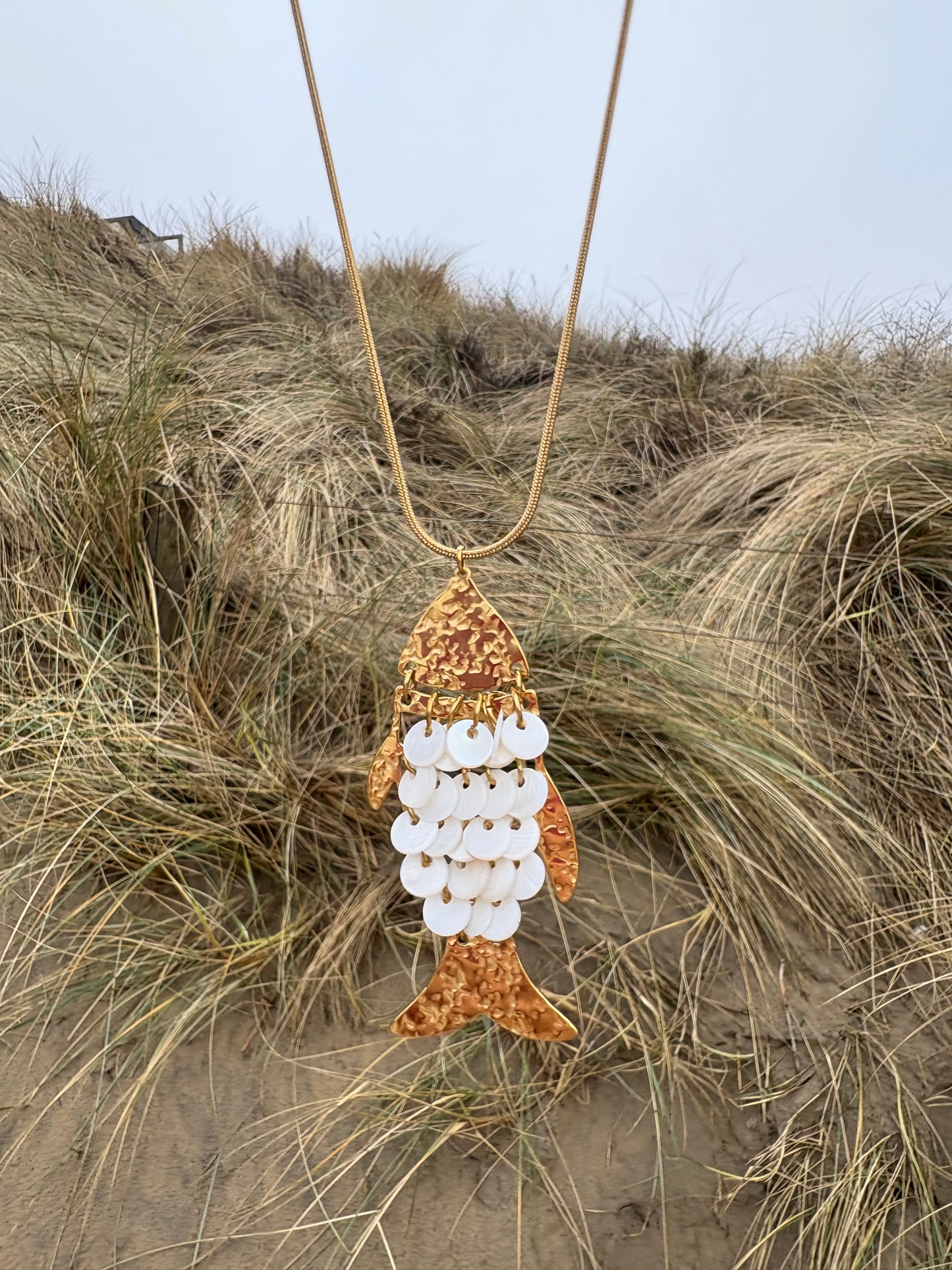 SWINGING FISH