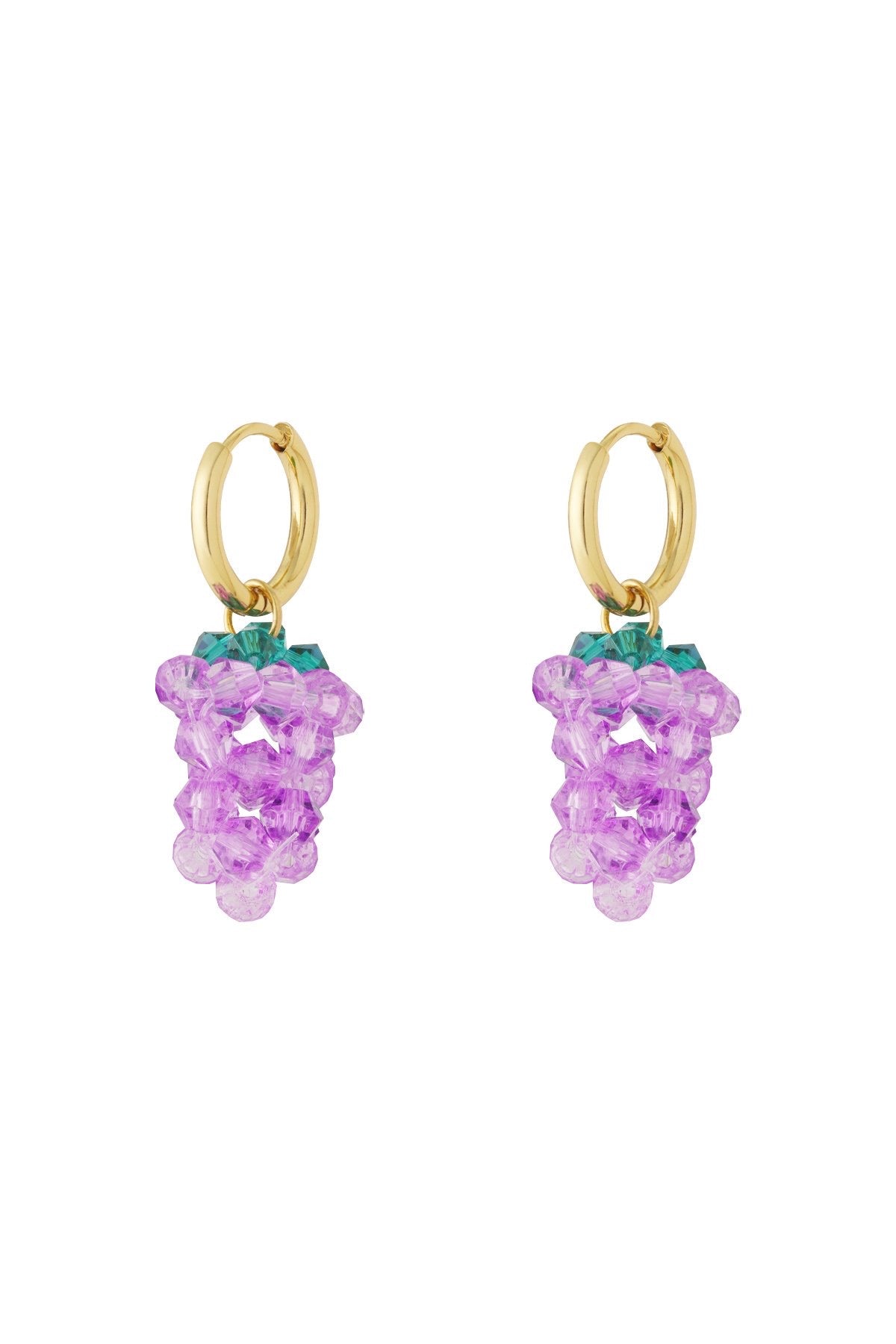 DRUIF HOOPS